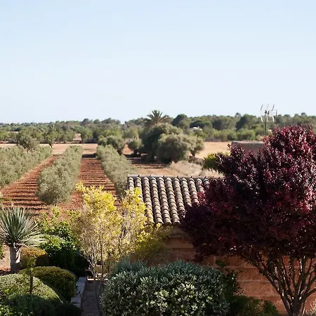 Carro * Campos (Mallorca)